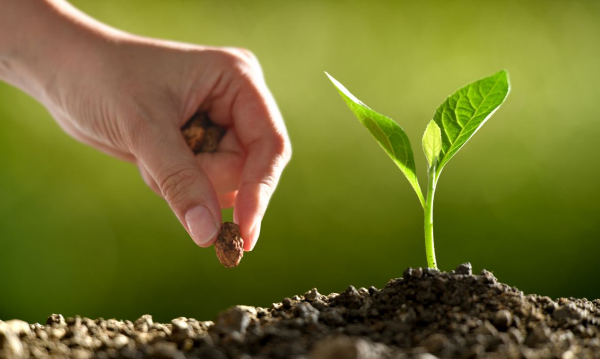 Workshop aborda retomada da ancestralidade e cultivo de alimentos. inscreva-se agora