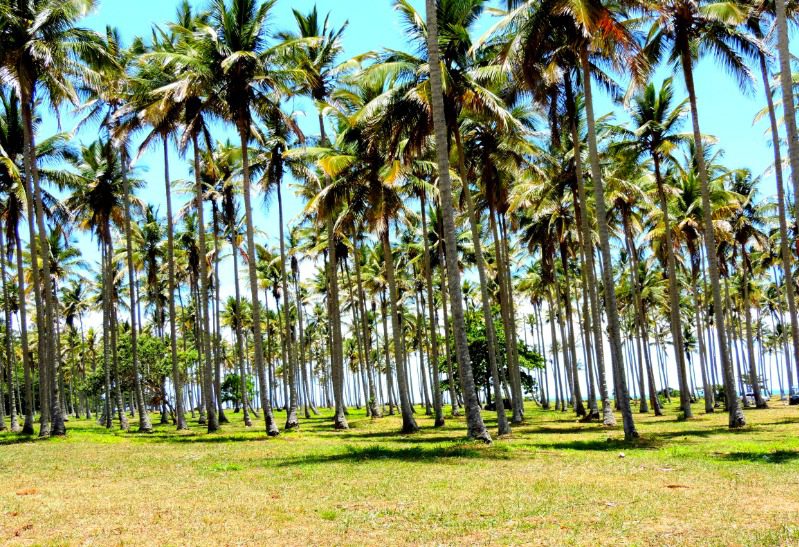 Praia de Coqueiral de Aracruz