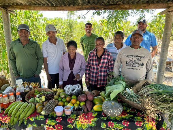 Do chão ao pão, projeto alimenta geração de trabalho e renda no Norte do ES