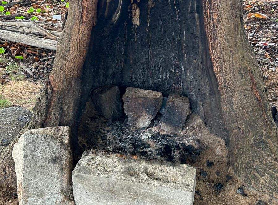 O Chamado Urgente para a Conscientização e Proteção do Tesouro Natural de Aracruz