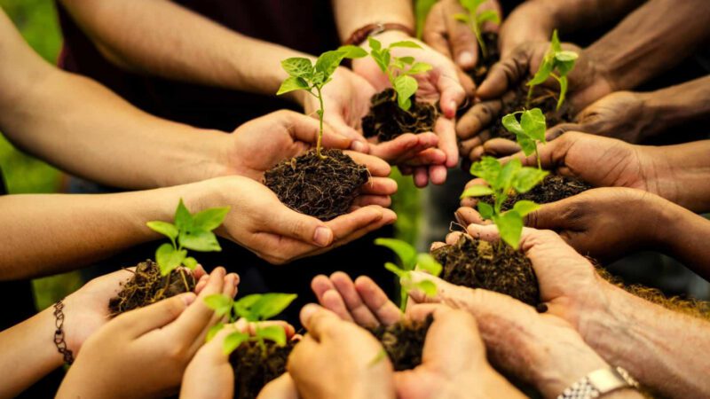 Na Semana do Meio Ambiente Prefeitura terá programação especial