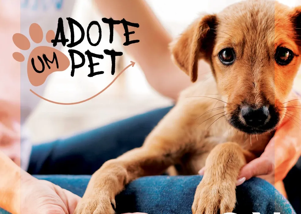 Adoção de animais: um ato de amor que transforma vidas
