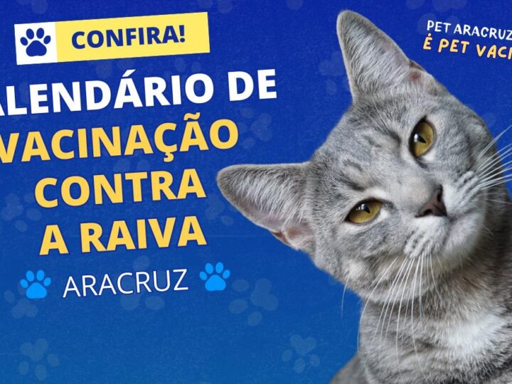 Postos móveis percorrem distritos de Aracruz para vacinação de cães e gatos
