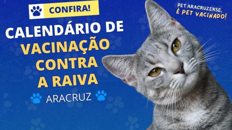 Postos móveis percorrem distritos de Aracruz para vacinação de cães e gatos