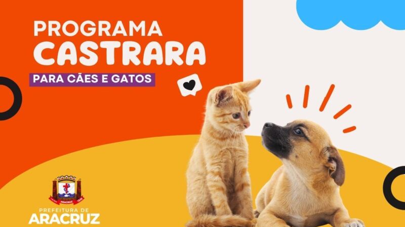 Prefeitura investe em castração gratuita de cães e gatos