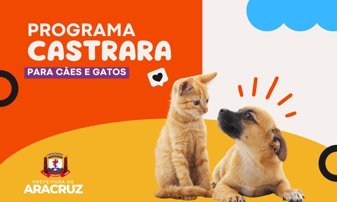 Prefeitura investe em castração gratuita de cães e gatos