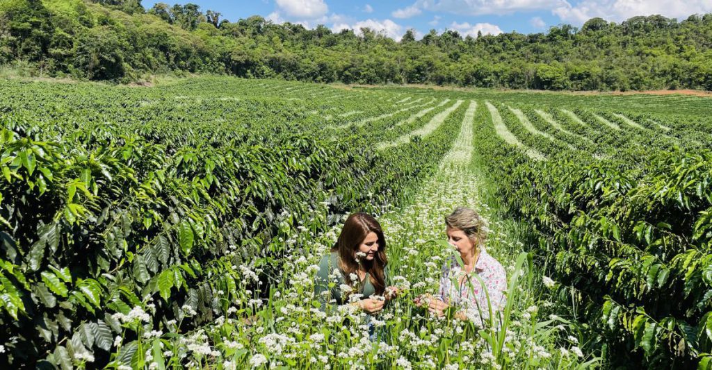 Espírito Santo aposta em Cafeicultura Regenerativa para liderança mundial em sustentabilidade