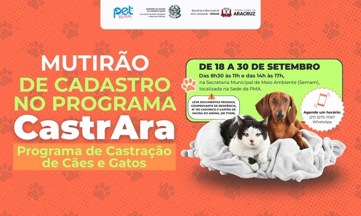 Mutirão de castração em Aracruz destaca a importância da esterilização animal