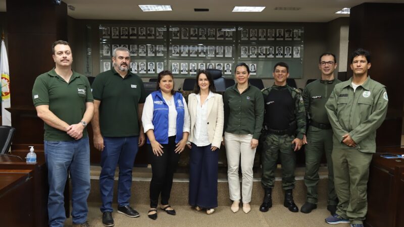 MPES e órgãos ambientais intensificam a fiscalização contra o desmatamento no ES.