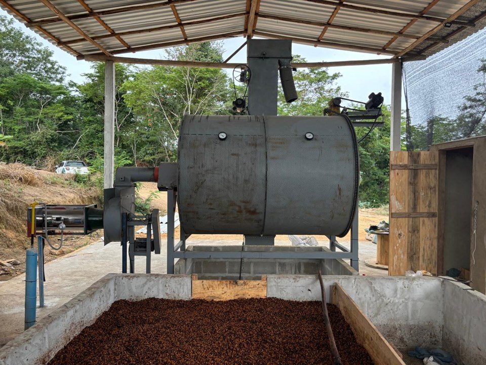 Secagem de café a gás aumenta qualidade da bebida e preserva o meio ambiente
