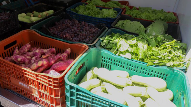 Aracruz adere ao Programa Compra Direta de Alimentos