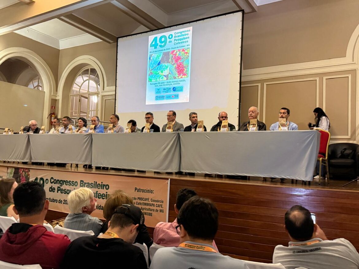 Incaper apresenta avanços cruciais em melhoramento genético e manejo do café
