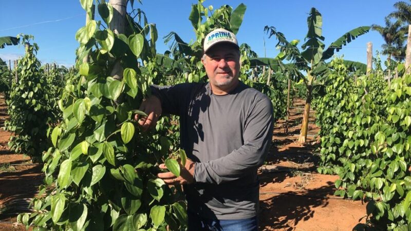 Espírito Santo domina exportação nacional e Gera US$ 296 Milhões em divisas