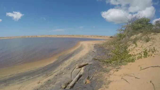 Metais pesados no prato! Pesquisa revela contaminação em alimentos cultivados no estuário do Rio Doce
