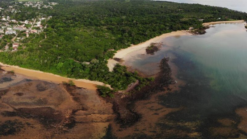 Aracruz abre consulta pública para criação de Corredor de Biodiversidade