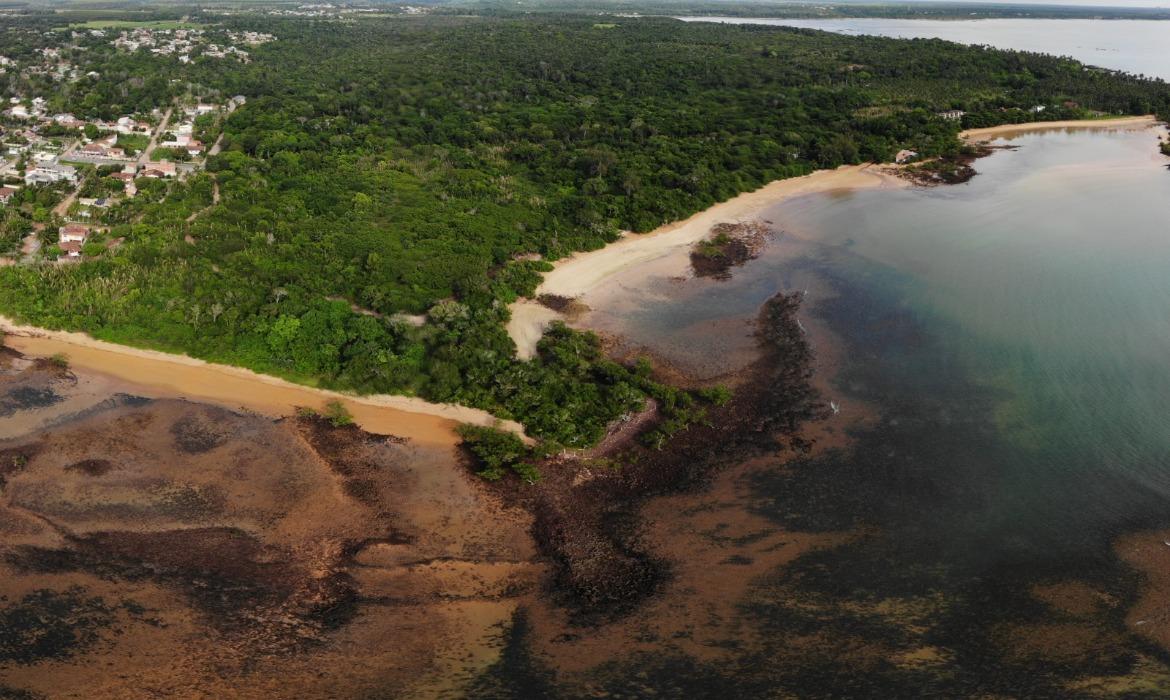 Aracruz abre consulta pública para criação de Corredor de Biodiversidade