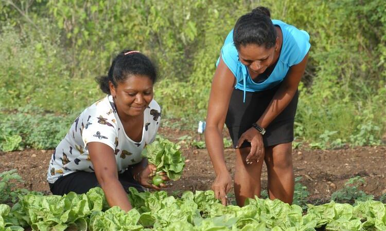 Programa “Elas no Campo e na Pesca” celebra expansão e bate recordes de atendimentos em 2025