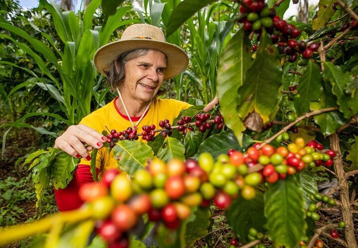 Aracruz se consolida como eixo do crescimento econômico do Espírito Santo