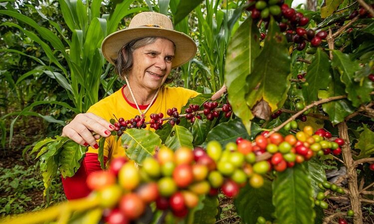 Aracruz se consolida como eixo do crescimento econômico do Espírito Santo