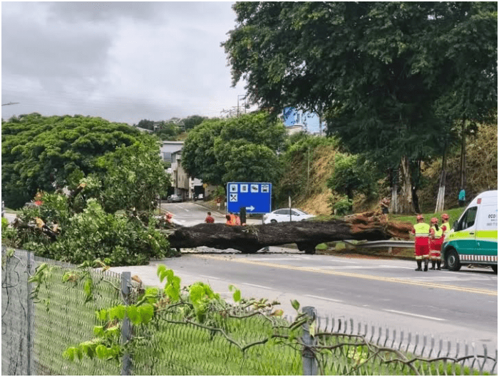 NOTA | TRÂNSITO INTERDITADO