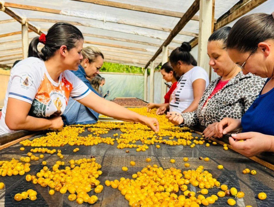 Produtoras do Espírito Santo conquistam o mercado gourmet de Minas Gerais