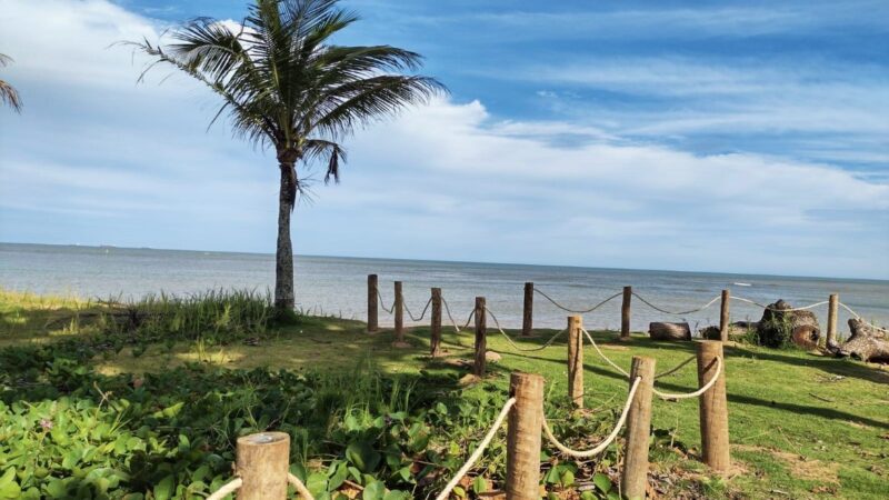 Edital para o Conselho Municipal de Meio Ambiente é aberto