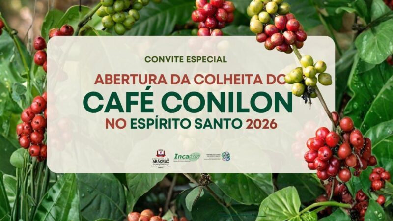 Setor agrícola celebra início da colheita do Café Conilon em Vila do Riacho