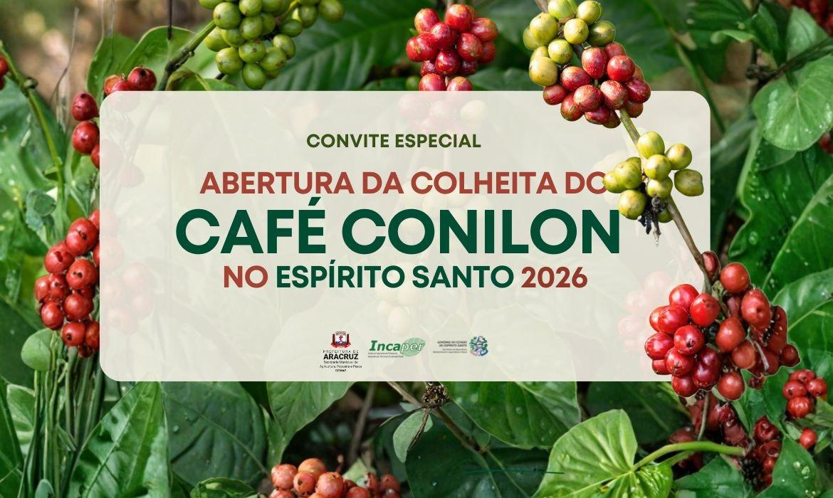 Setor agrícola celebra início da colheita do Café Conilon em Vila do Riacho