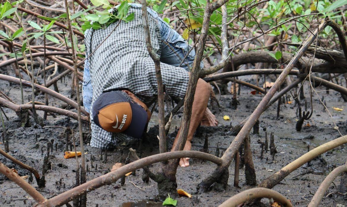 Projeto Vida no Mangue 2026 inicia período de inscrições no dia 19 de maio