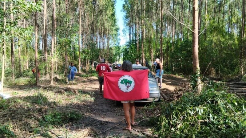 Justiça obriga membros do MST a desocuparem terras invadidas em Aracruz