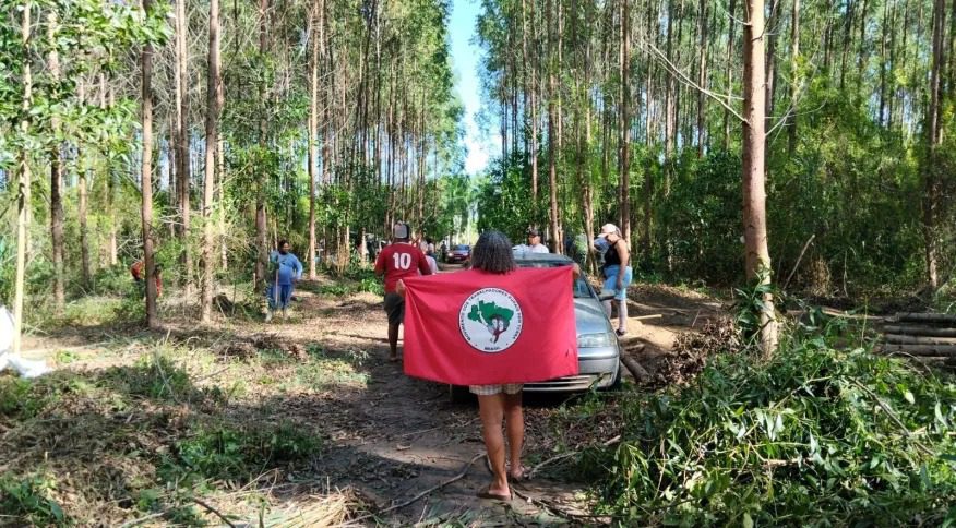 Justiça obriga membros do MST a desocuparem terras invadidas em Aracruz