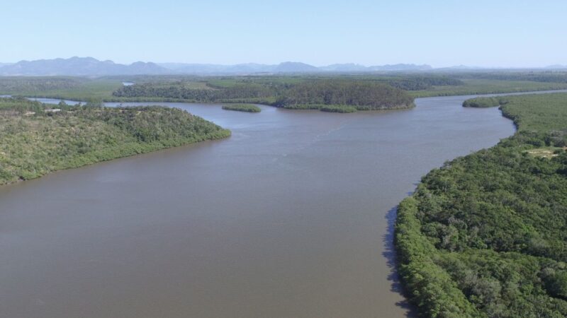 Mutirão de limpeza no manguezal do Piraquê-açu busca voluntários engajados com a natureza