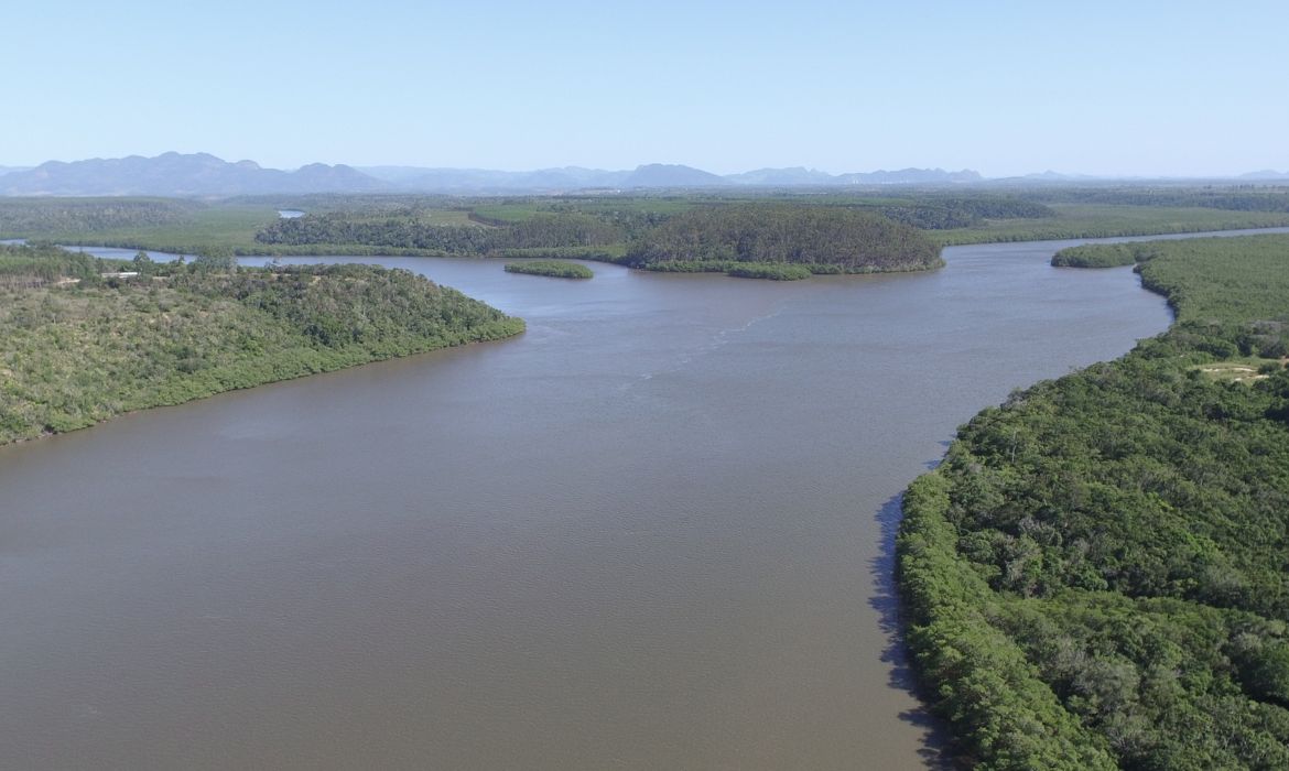 Mutirão de limpeza no manguezal do Piraquê-açu busca voluntários engajados com a natureza