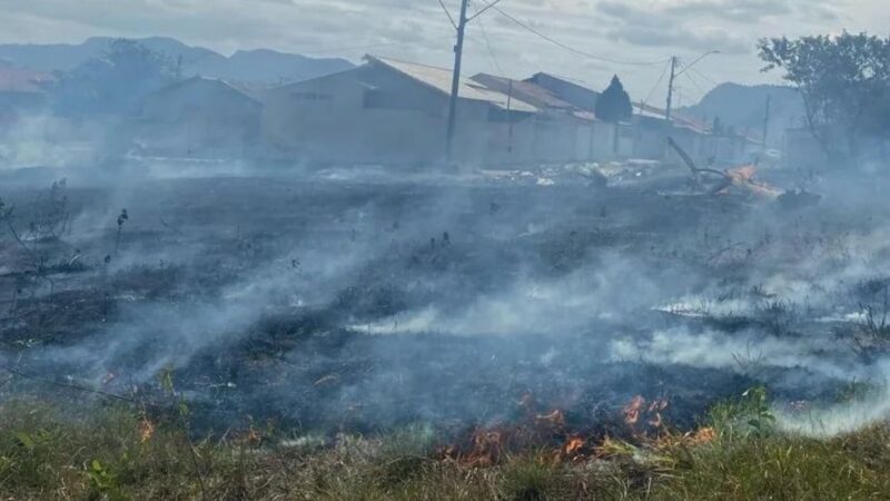 Incêndio Devasta Pasto no Bairro Cupido, em Aracruz