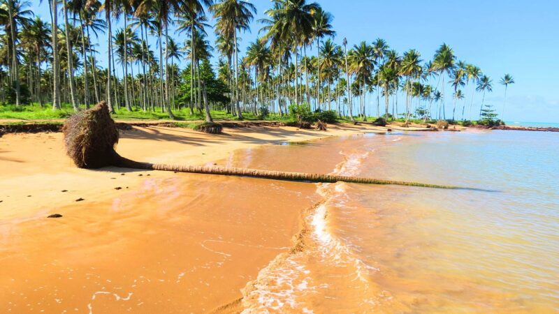 14 Praias são Aprovadas pelo Teste de Balneabilidade em Aracruz