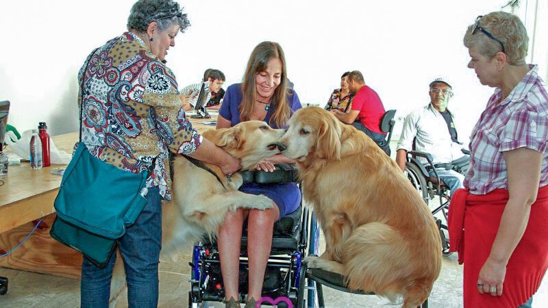 Projeto assegura acessibilidade de pessoas com deficiência acompanhadas por cães de serviço