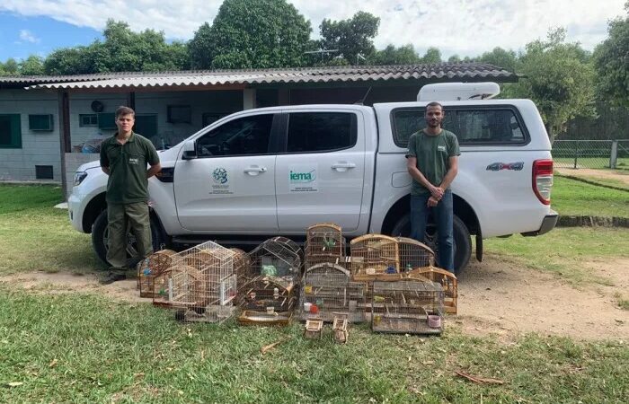 Iema realiza operação de Combate a Cativeiros Ilegais de Fauna em Aracruz