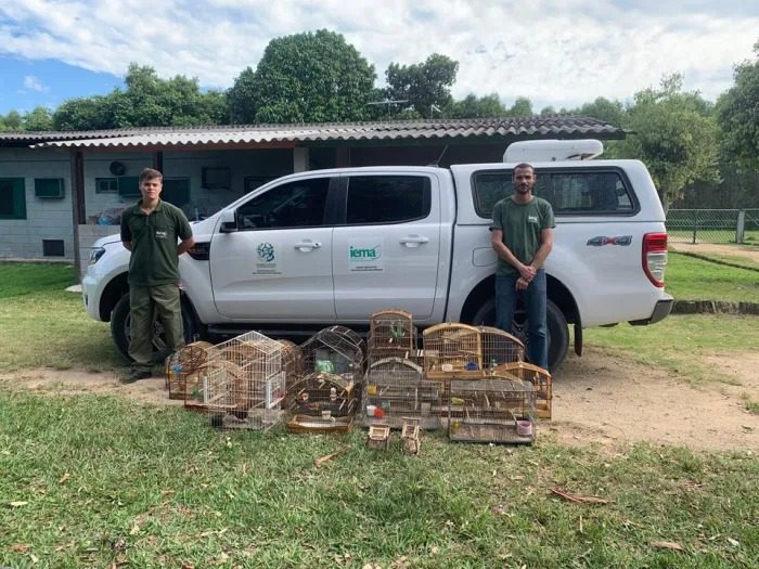 Iema realiza operação de Combate a Cativeiros Ilegais de Fauna em Aracruz