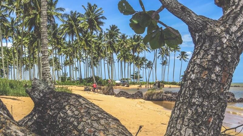 Vencemos! Coqueiral de Aracruz é Eleita a Praia Mais Bonita do Espírito Santo